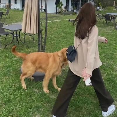 德克斯特的实验室第一季